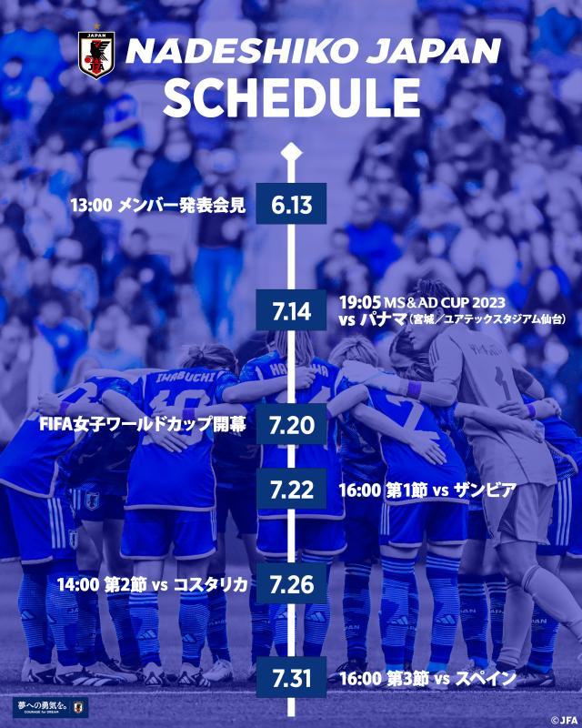 网页版登录入口-女足世界杯来临 日本女足只值男足的1/50？